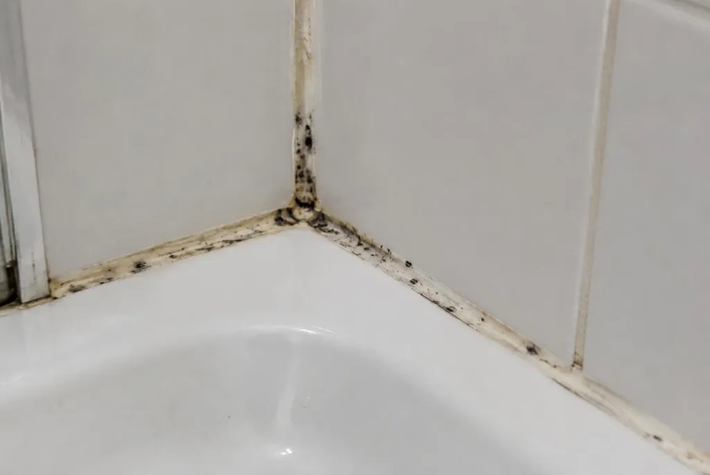 Kitbedrijf Urk – beschimmelde kitranden